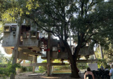 Fregene, il mare di Roma riscopre la Casa Albero dell’architetto Perugini