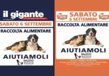 Raccolta alimentare per cani e gatti: iniziativa anche nei supermercati Il Gigante