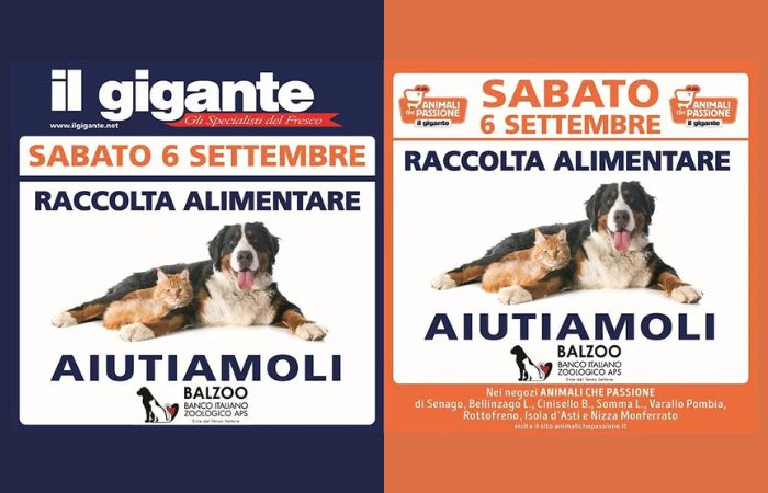 Raccolta alimentare per cani e gatti: iniziativa anche nei supermercati Il Gigante