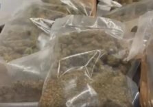 Sequestrati 50 kg di droga e 20 mila euro a Milano, sette gli arrestati