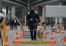 Da Regione Lombardia 150mila euro per le associazioni che addestrano i cani guida per le persone non vedenti