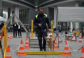 Da Regione Lombardia 150mila euro per le associazioni che addestrano i cani guida per le persone non vedenti