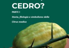 Presentato il documentario sulla storia del cedro frutto simbolo della Calabria
