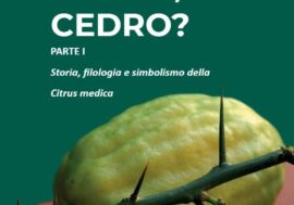 Presentato il documentario sulla storia del cedro frutto simbolo della Calabria