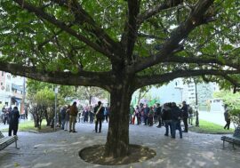 Milano, il giardino di piazzale Segrino intitolato alla partigiana “Rina” Margherita Belotti