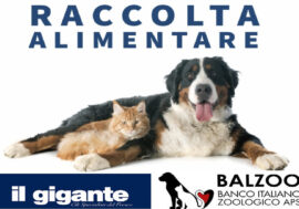 Animali e crisi economica: un sabato a Il Gigante per fare la differenza