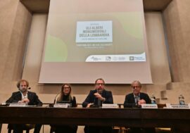 Milano, convegno a Palazzo Brera sugli alberi monumentali della Lombardia