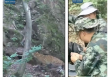 Cina: avvistato un raro leopardo in una riserva naturale nel nord-ovest del Paese