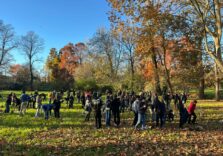 Milano, al via la campagna di piantumazione di alberi nei parchi cittadini