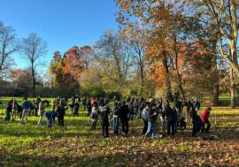 Milano, al via la campagna di piantumazione di alberi nei parchi cittadini