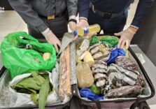 Milano, a Linate sequestrate 6,5 tonnellate di alimenti non sicuri