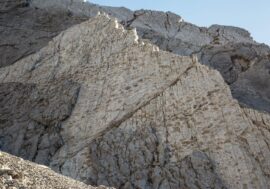 Scoperte migliaia di orme di dinosauri nel Parco dello Stelvio, Fontana: “Un regalo della storia alle Olimpiadi”