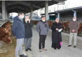 La benedizione di mons. Mario Delpini agli animali per la festa di Sant’Antonio Abate