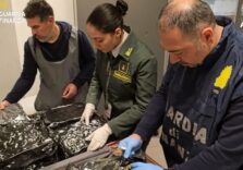 Traffico internazionale di droga, all’aeroporto di Malpensa arrestata passeggera con 17 kg di marijuana