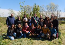 Il progetto Forestami trasforma il boschetto di Gaggiano: dopo 5 anni di cure viene “restituito” al territorio