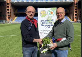 Piatto di trenette per Genoa e Samp con il basilico Dop coltivato a Marassi