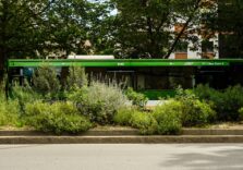 Milano, la circonvallazione è sempre più green grazie al progetto di rigenerazione ecologica di Forestami