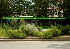 Milano, la circonvallazione è sempre più green grazie al progetto di rigenerazione ecologica di Forestami