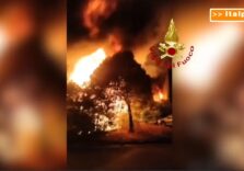 Settimo Milanese, scoppia un violento incendio in un centro di autodemolizione / Video