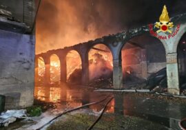 Un incendio devasta Cascina Rancate nel Milanese, tratte in salvo 510 mucche / Video