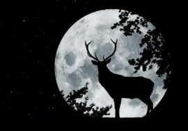 Luna del Cervo 2026, il 29 luglio torna il plenilunio dell’estate tra stelle cadenti e Saturno