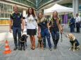 Milano, cani guida protagonisti in piazza Città di Lombardia