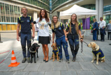 Milano, cani guida protagonisti in piazza Città di Lombardia