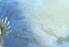 Nuovi sversamenti nel Naviglio, Gruppo CAP collabora alle indagini