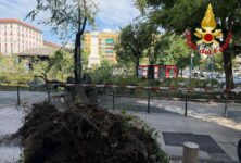 Milano, crolla improvvisamente un grosso ramo di un albero in piazza Risorgimento: 3 persone ferite