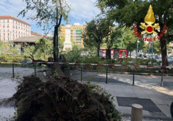 Milano, crolla improvvisamente un grosso ramo di un albero in piazza Risorgimento: 3 persone ferite