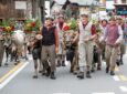 Alpenfest 2026, a Livigno la montagna racconta la sua anima più autentica