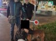 Chiedono 1.000 euro per restituire un cane smarrito, denunciati due giovani a Milano