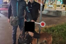 Chiedono 1.000 euro per restituire un cane smarrito, denunciati due giovani a Milano