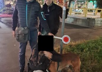 Chiedono 1.000 euro per restituire un cane smarrito, denunciati due giovani a Milano