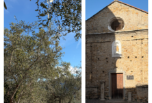 Il tesoro delle valli sopra Imperia: l’olio taggiasco da ammirare e gustare